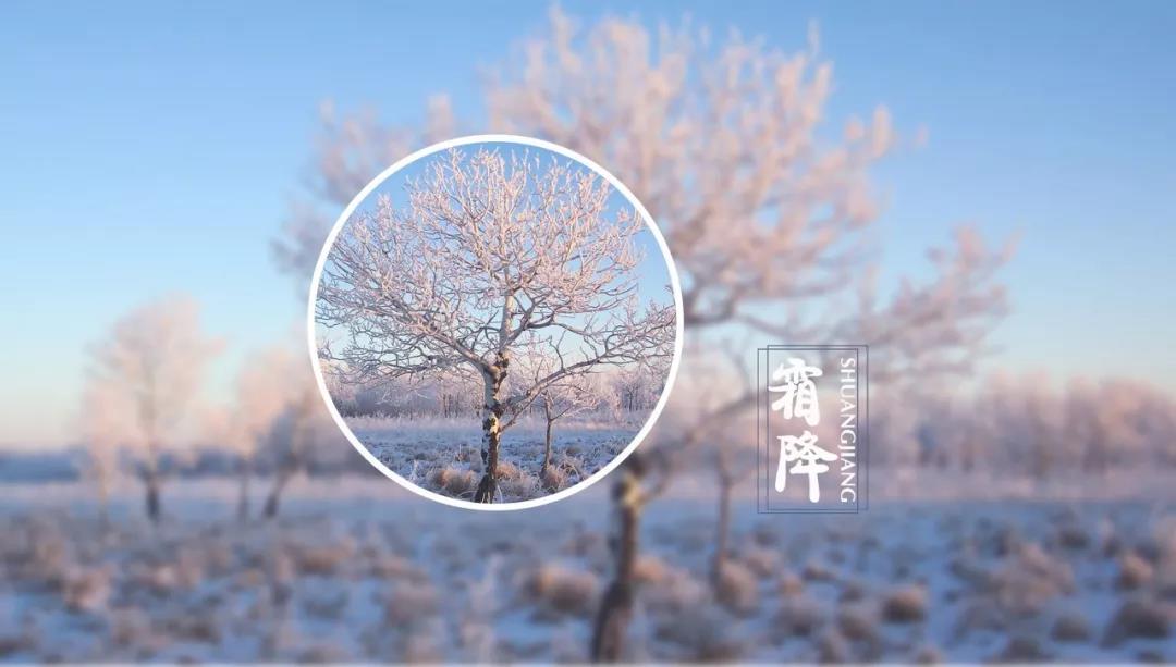 升华陶瓷 | 今日霜降，天愈寒，莫忘加衣！