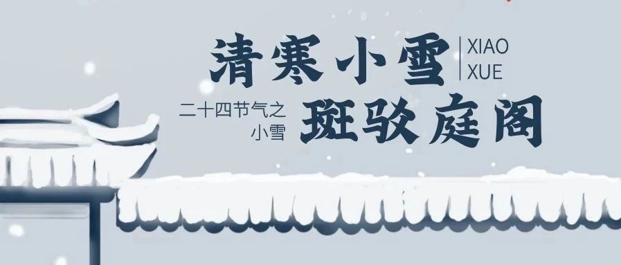 升华陶瓷 | 心中有骄阳，小雪冬更暖！
