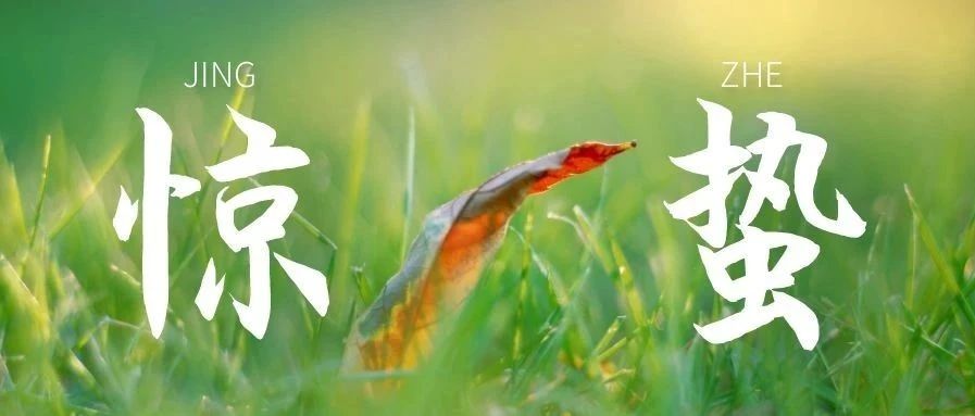 升华陶瓷 | 惊蛰：微雨众卉新， 一雷惊春始！