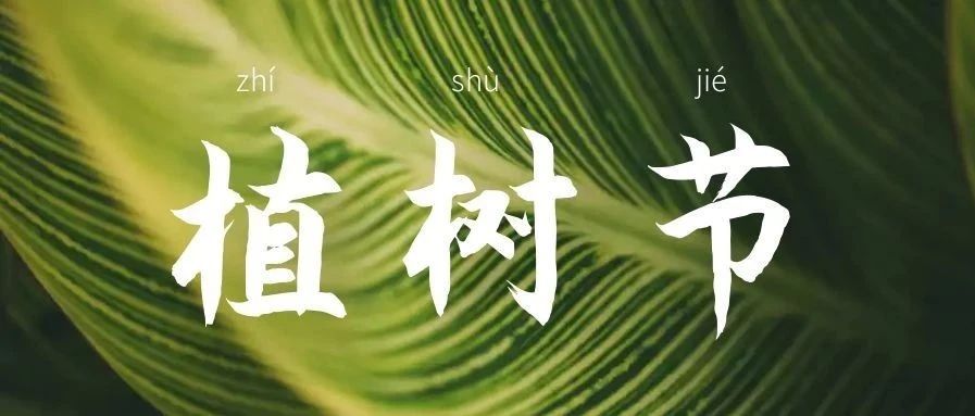 升华陶瓷 | 植树节：为春天，守护一抹碧绿~