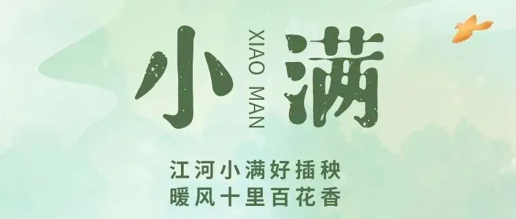 小满者，物至于此小得盈满