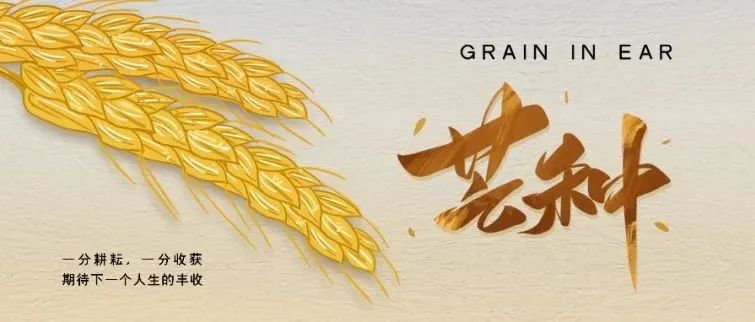 芒种无闲光，期待下一个丰收的人生